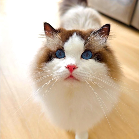 Meet your Posher, Karena - Picture 1 of 2